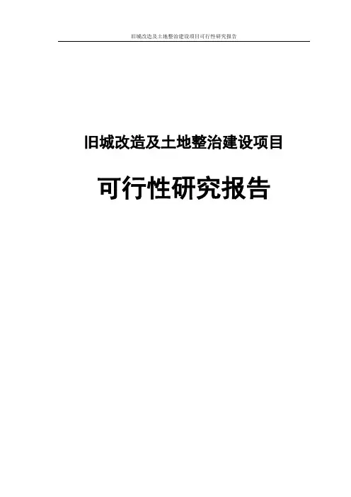 旧城改造及土地整治建设项目可行性研究报告