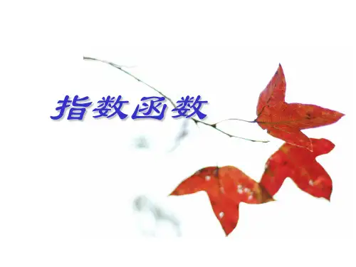 高一数学 指数函数 ppt课件