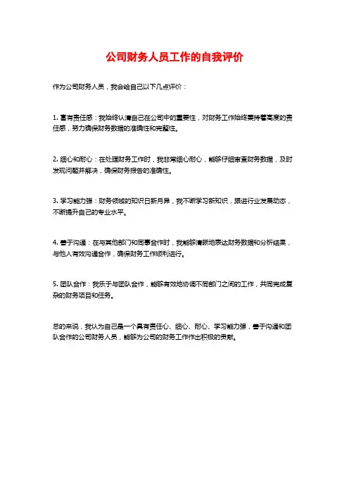 公司财务人员工作的自我评价
