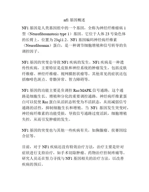 nf1基因概述