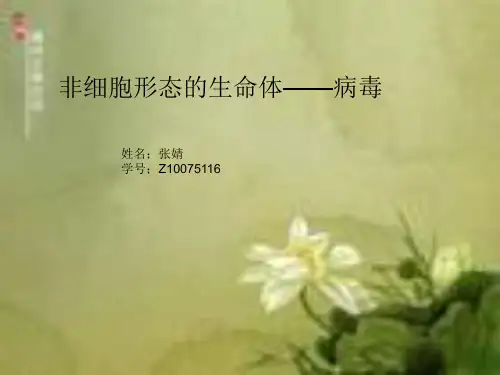 非细胞形态的生命体——病毒ppt