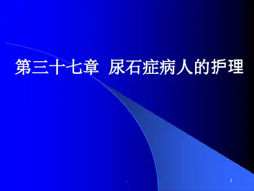 尿石症病人的护理ppt课件