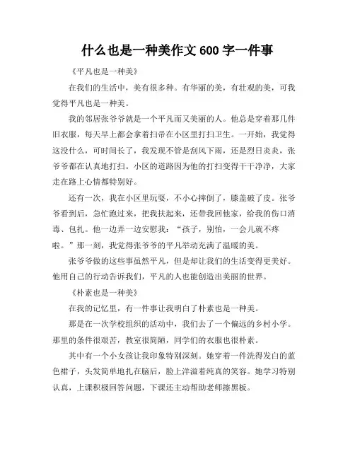 什么也是一种美作文600字一件事