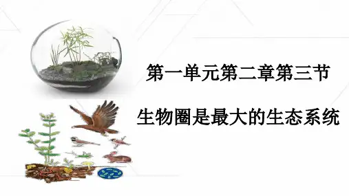 1.2.3 生物圈是最大的生态系统课件  人教版生物七年级上册
