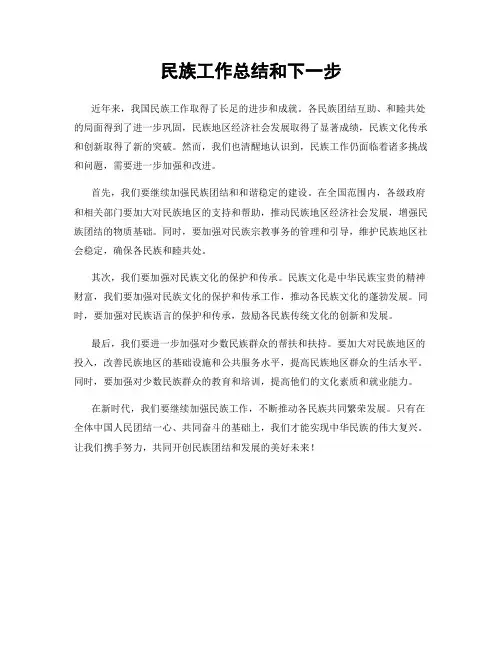 民族工作总结和下一步