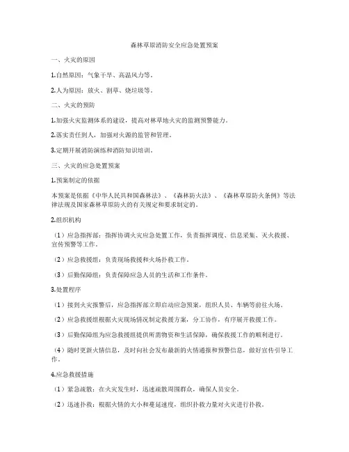 森林草原消防安全应急处置预案