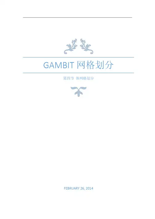 Gambit体网格划分
