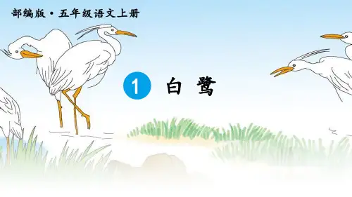 《白鹭》语文教学PPT课件(4篇)