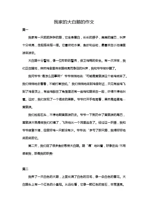 我家的大白鹅的作文