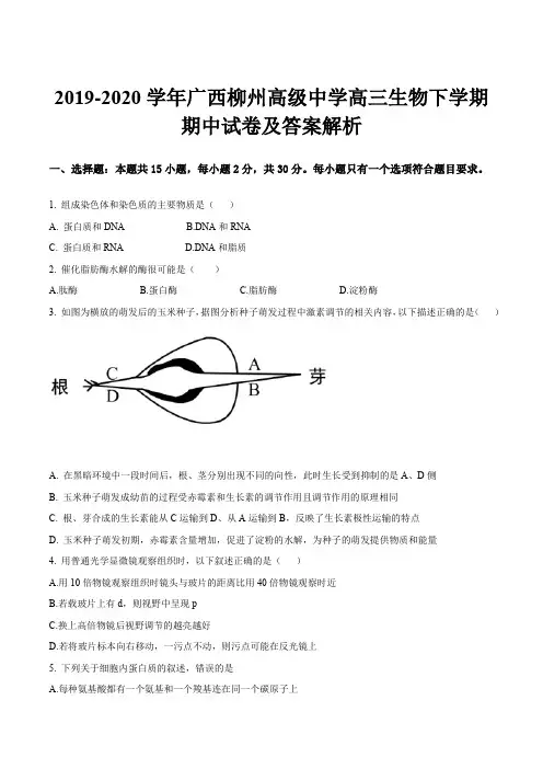 2019-2020学年广西柳州高级中学高三生物下学期期中试卷及答案解析