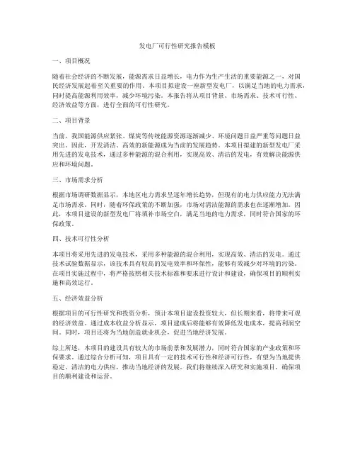 发电厂可行性研究报告模板