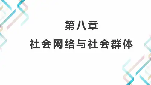 社会学概论精编第三版第8章社会网络与社会群体