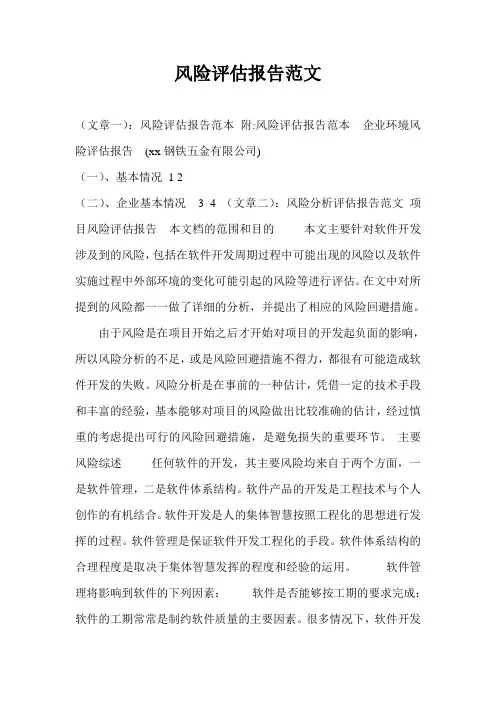 风险评估报告范文