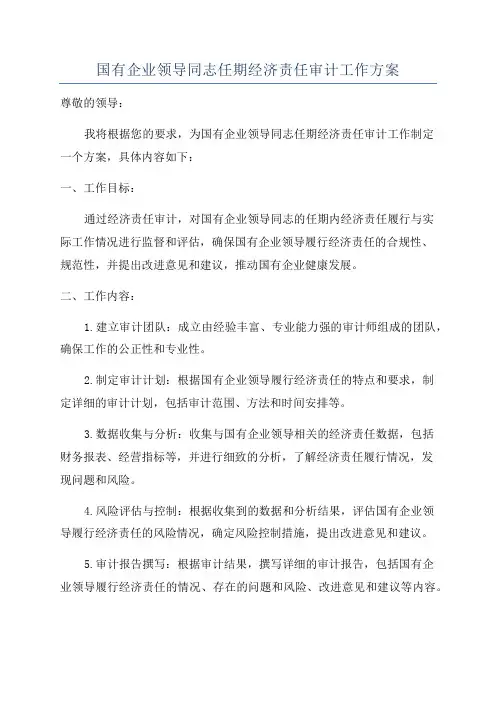 国有企业领导同志任期经济责任审计工作方案