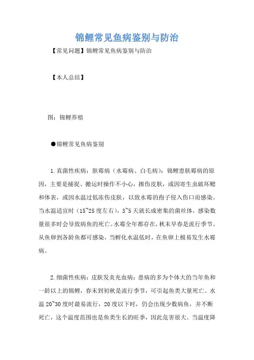 锦鲤常见鱼病鉴别与防治