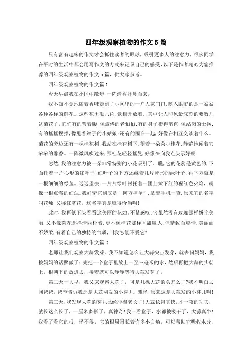 四年级观察植物的作文5篇