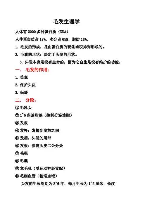 最全面的毛发生理头皮学完整版