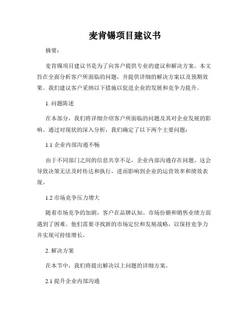 麦肯锡项目建议书