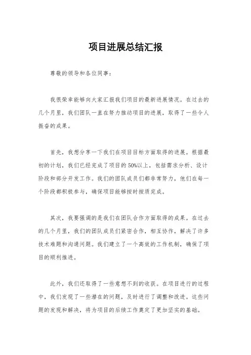 项目进展总结汇报
