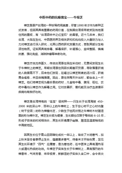 中医中药的抗癌瑰宝——牛樟芝