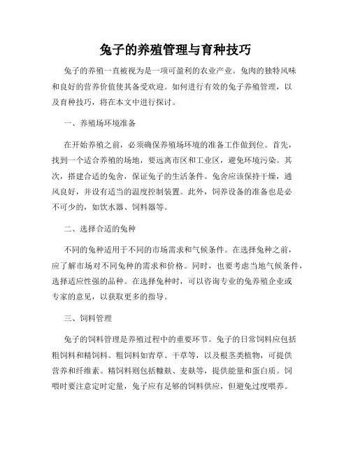 兔子的养殖管理与育种技巧