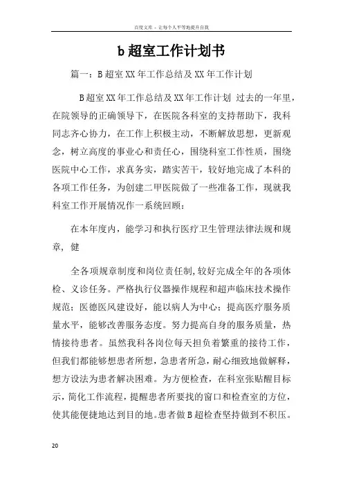 b超室工作计划书
