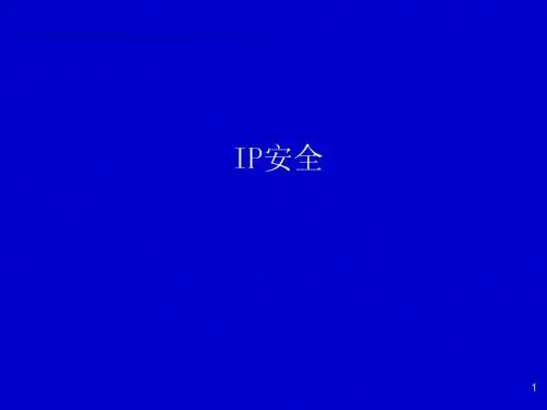 IP安全
