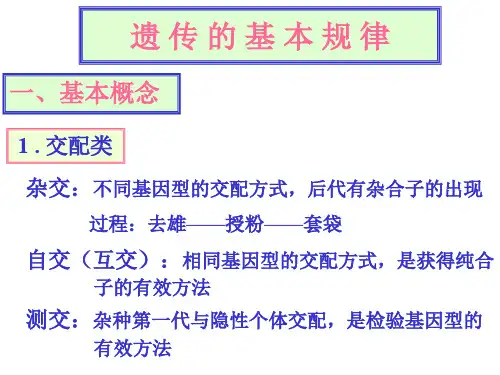 9遗传的基本规律-24页文档资料