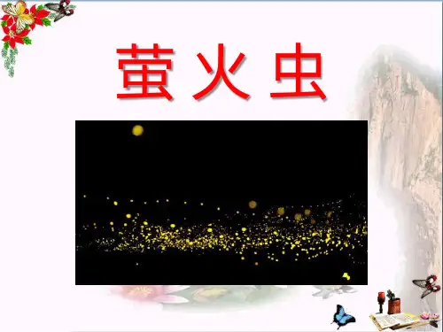 萤火虫- 优秀PPT课件