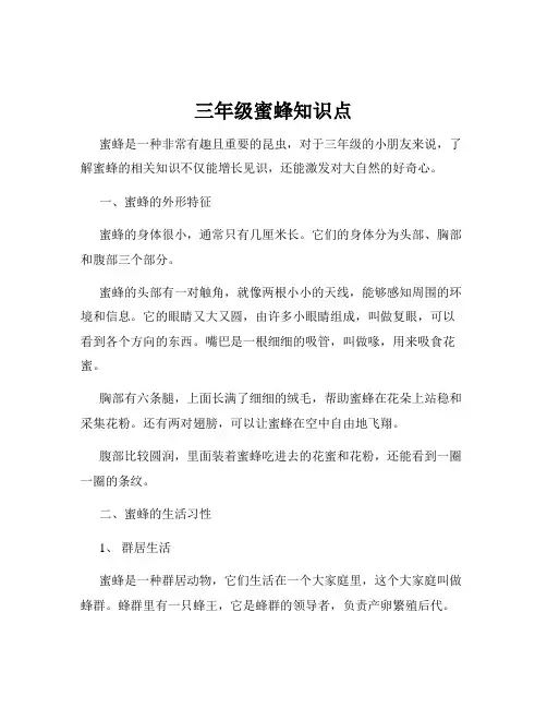 三年级蜜蜂知识点