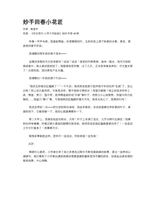 妙手回春小花匠