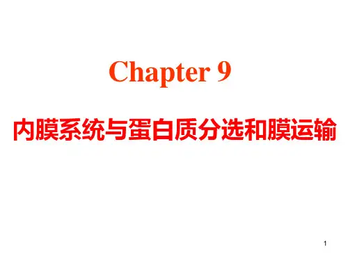 chapter9内膜系统与蛋白质分选和膜运输