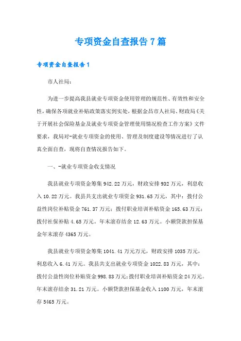 专项资金自查报告7篇