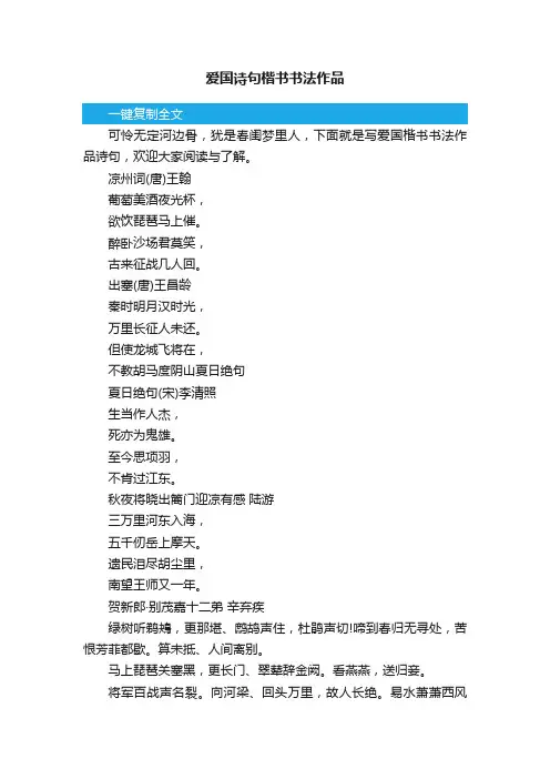 爱国诗句楷书书法作品