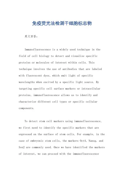 免疫荧光法检测干细胞标志物