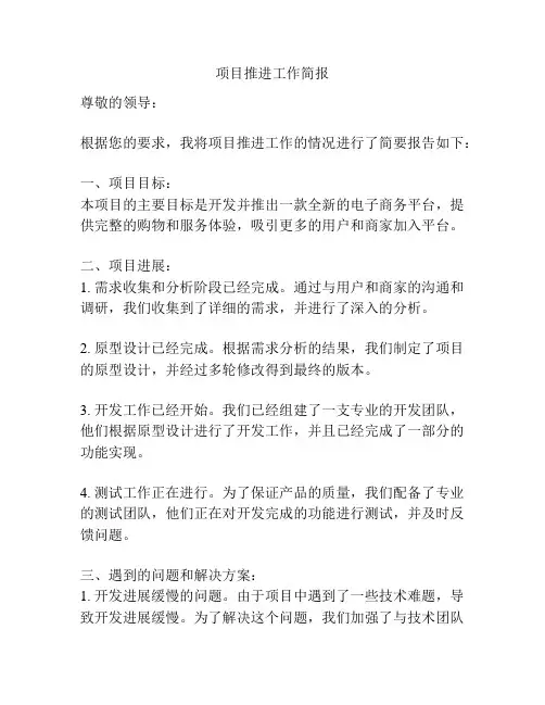 项目推进工作简报