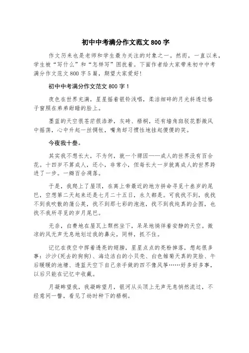 初中中考满分作文范文800字