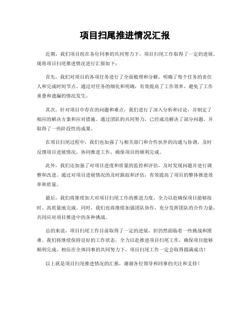 项目扫尾推进情况汇报