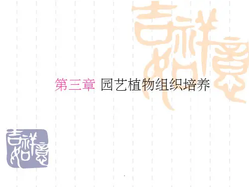 园艺植物组织培养ppt课件