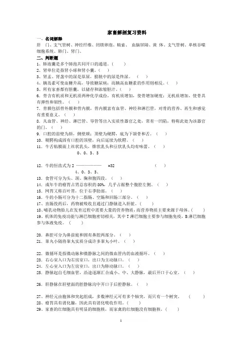 解剖学复习材料