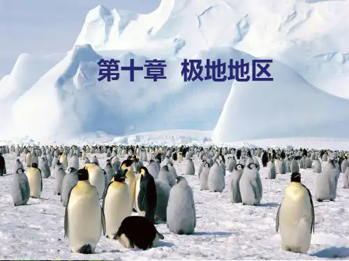 新人教版地理《极地地区》优秀课件1