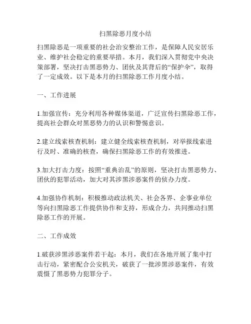 扫黑除恶月度小结