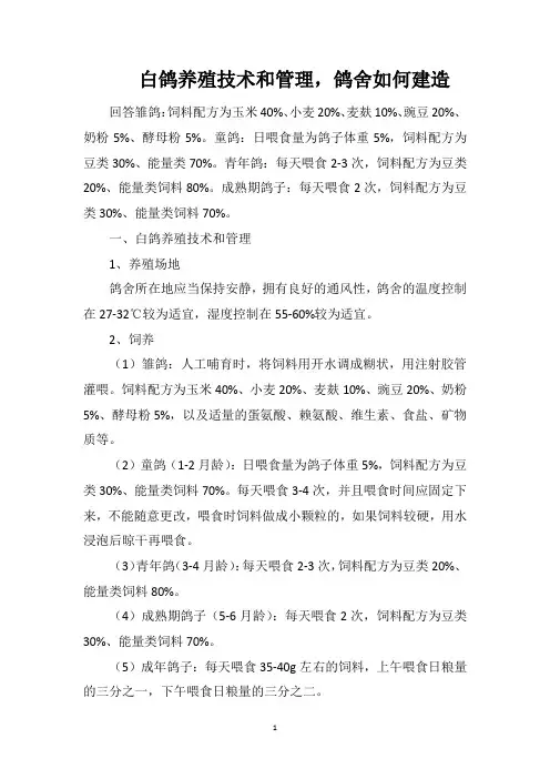 白鸽养殖技术和管理,鸽舍如何建造
