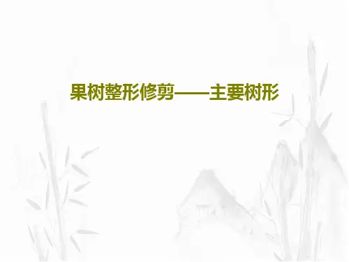 果树整形修剪——主要树形共52页文档