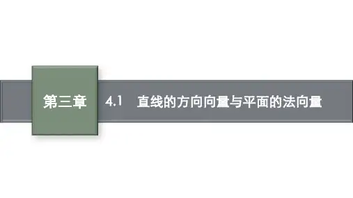 北师大版选择性341直线的方向向量与平面的法向量课件(21张)