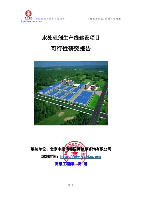 水处理剂生产线建设项目可行性研究报告