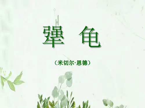 《犟龟》3PPT课件 图文