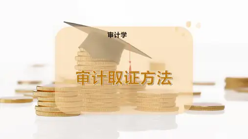 审计取证方法