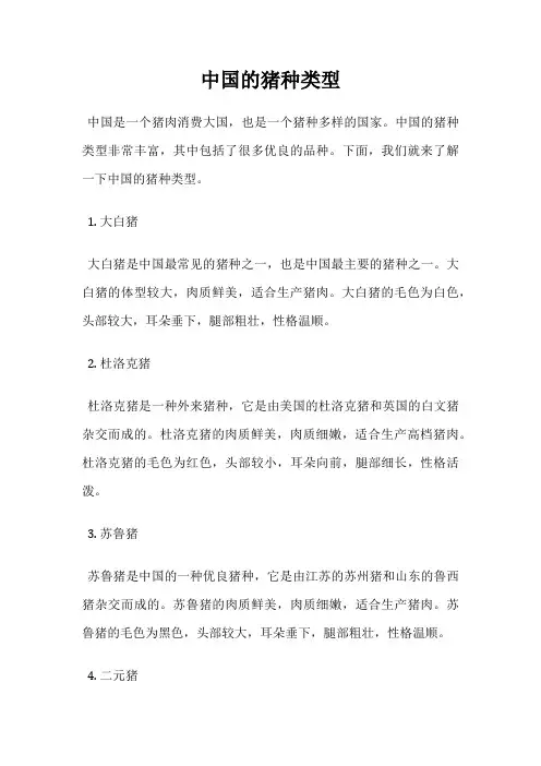 中国的猪种类型