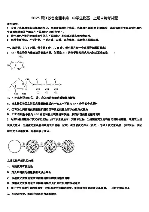 2025届江苏省南通市第一中学生物高一上期末统考试题含解析